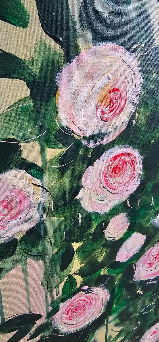 Pierre de Ronsard blooming roses bush
