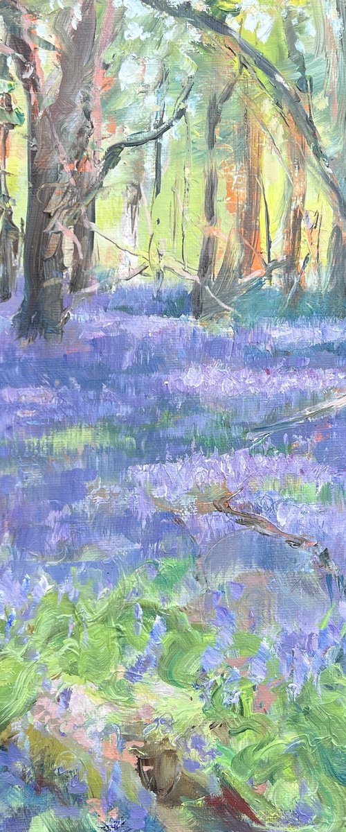 Bluebell Woods by Paul Hunter