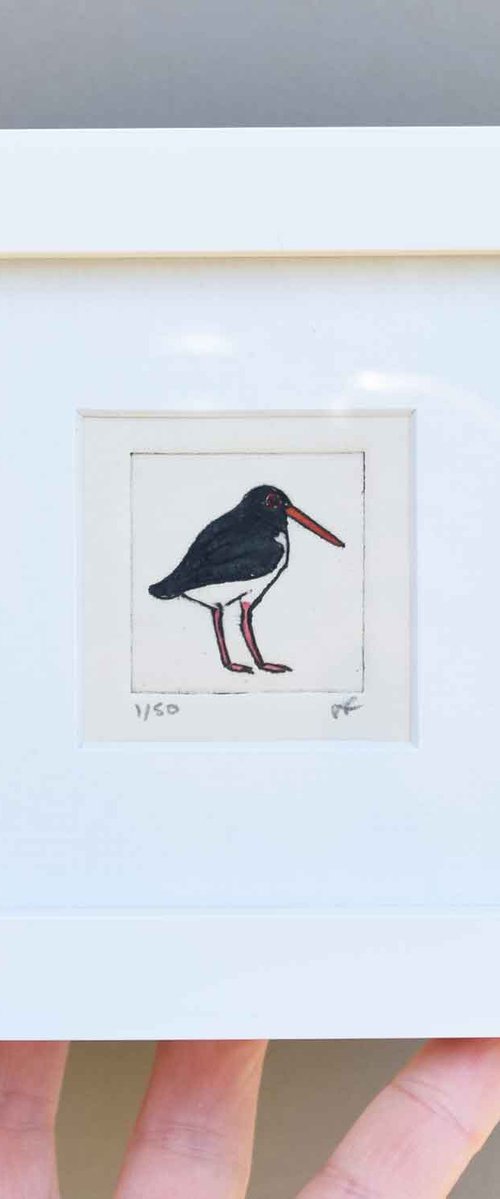 Mini framed oyster catcher by Sally Fisher