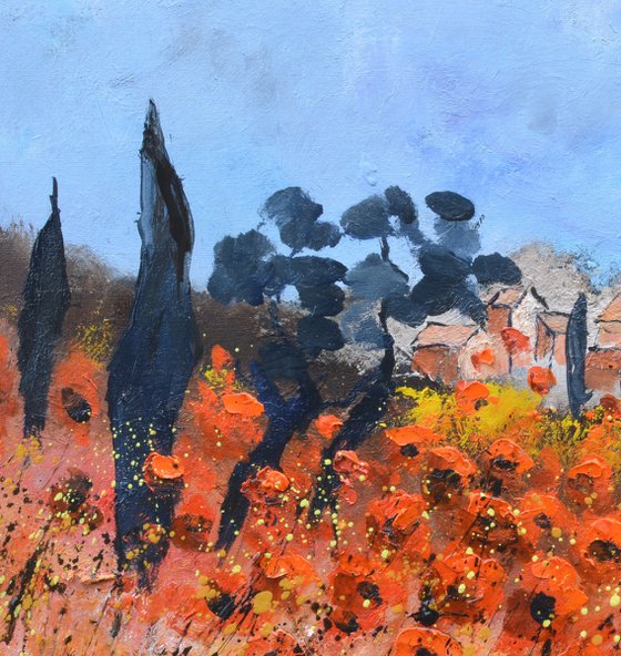 Red poppies  in Provence   6624