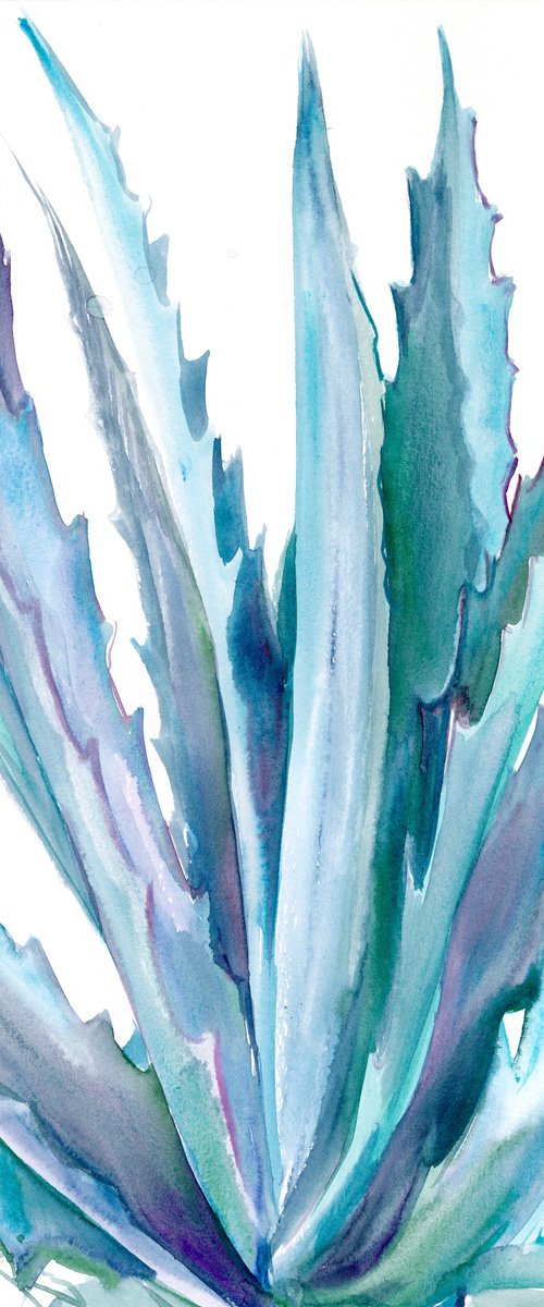 Agave by Suren Nersisyan