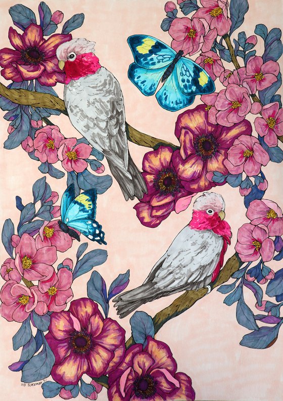 Galah's pink garden