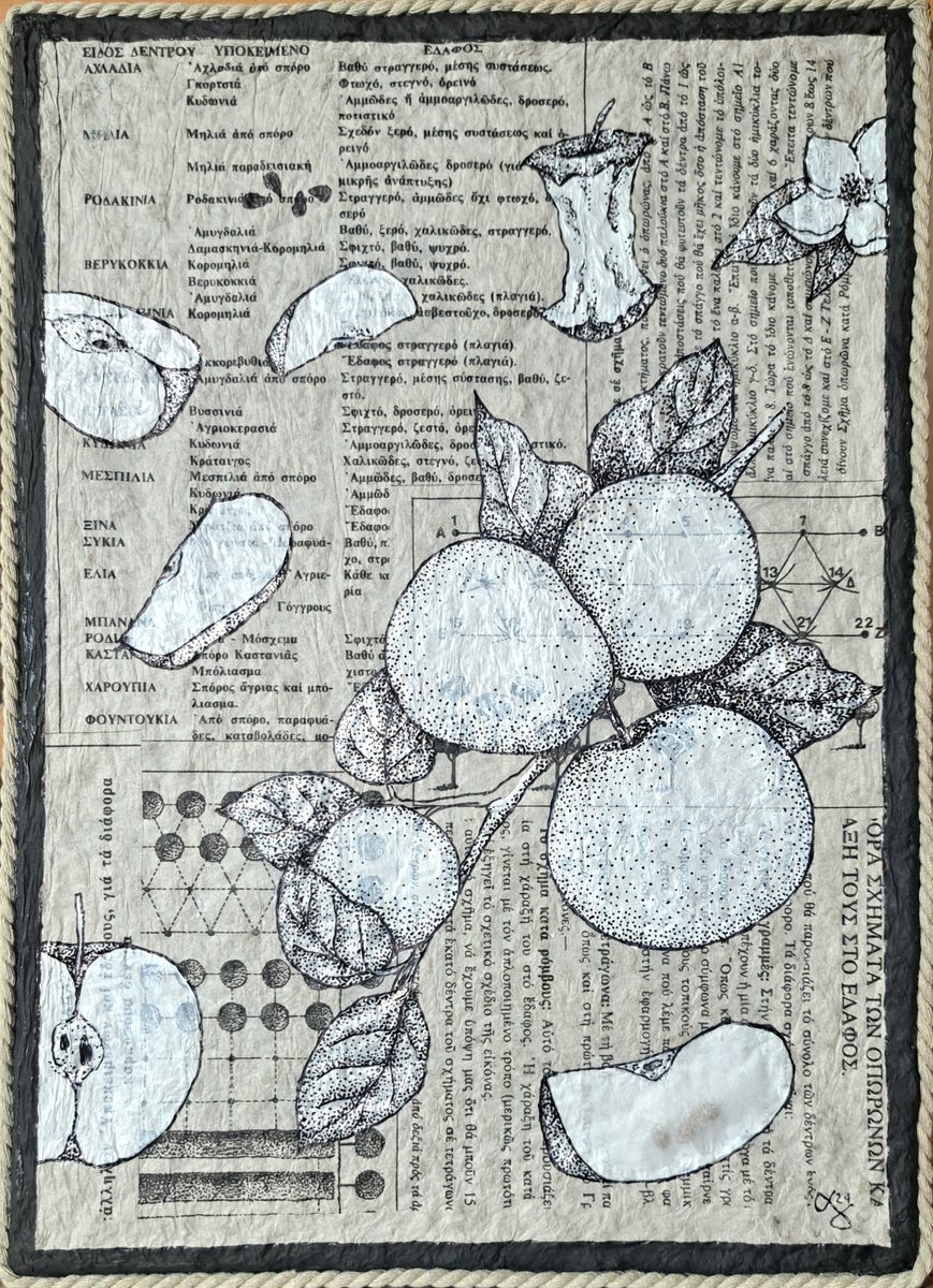 Graphic Botanical Ink Drawing By Andromachi Giannopoulou, 8 X 12, Apples, Original Artwork