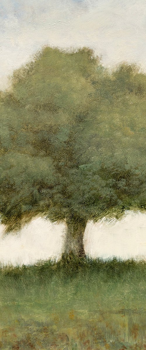 Zen Tree 29 260316 by Don Bishop