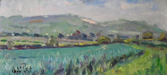 Downs near Bignor