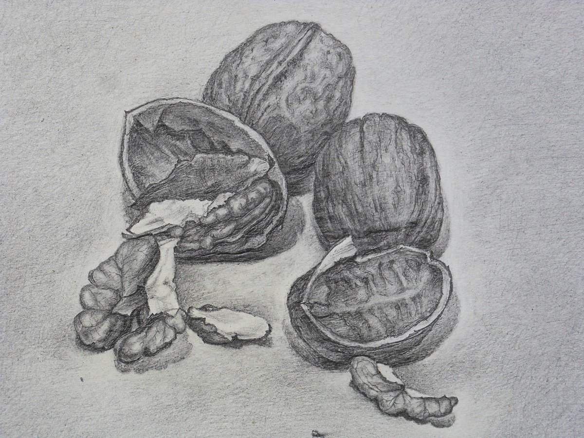The nuts, still life, drawing by Bledi Kita