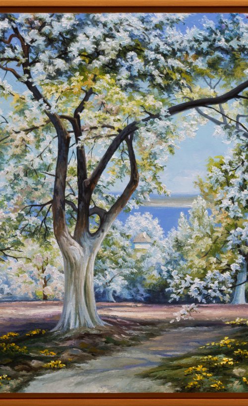 SPRING GARDEN by Oleksii Vylusk