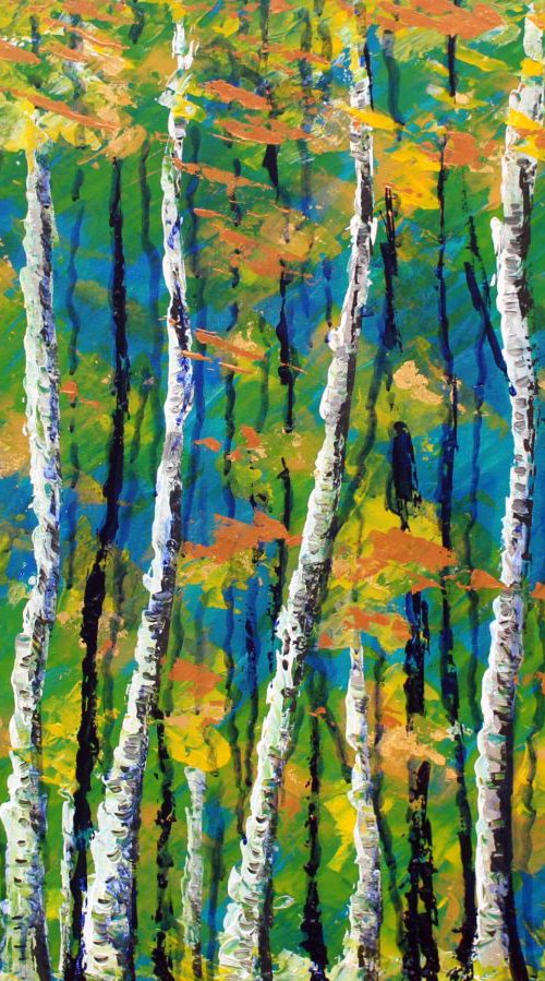 Populus by Paul J Best