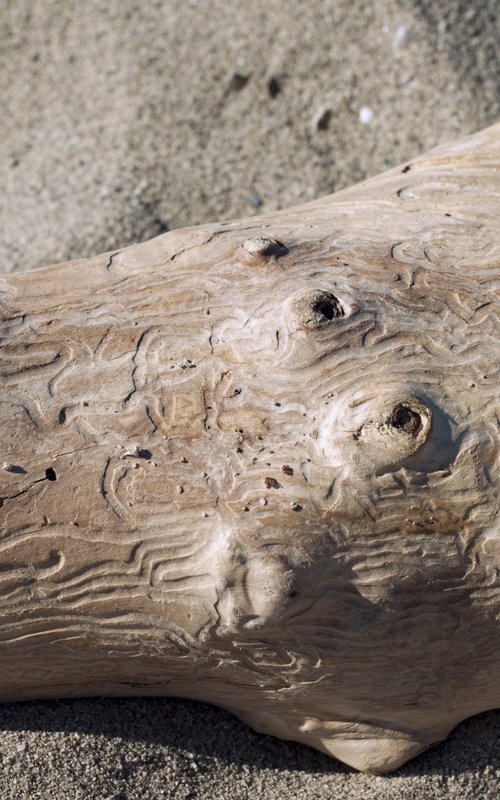 Piece of Wood no.8 by Mattia Paoli