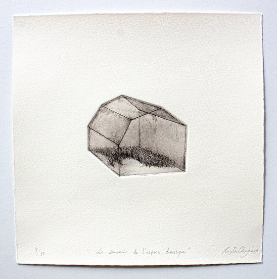 THE MEMORY OF DOMESTIC SPACE