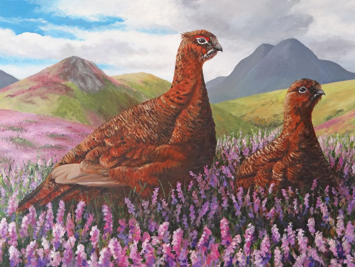 Grouse in Heather by Janet Carson
