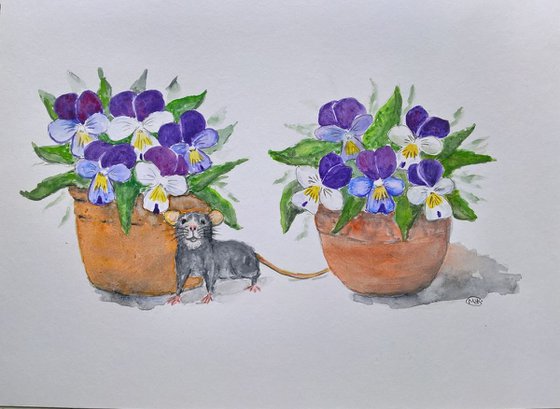 Violas and a little grey Mouse