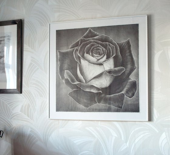Two-Faced Rose. Graphite Flowers Series