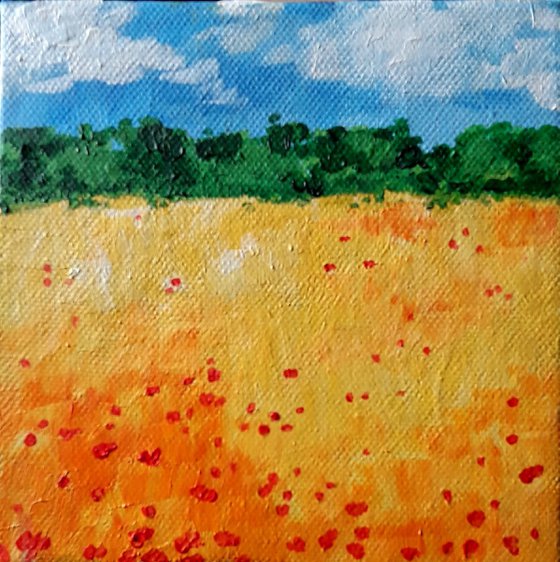 Poppies in the wheat