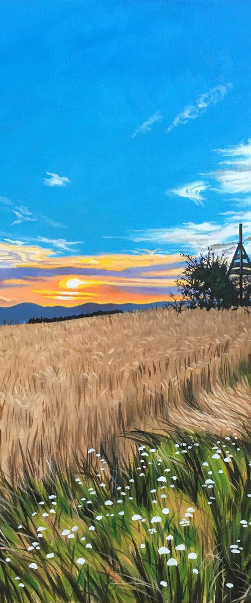 Wheat Field by Alexander Titorenkov