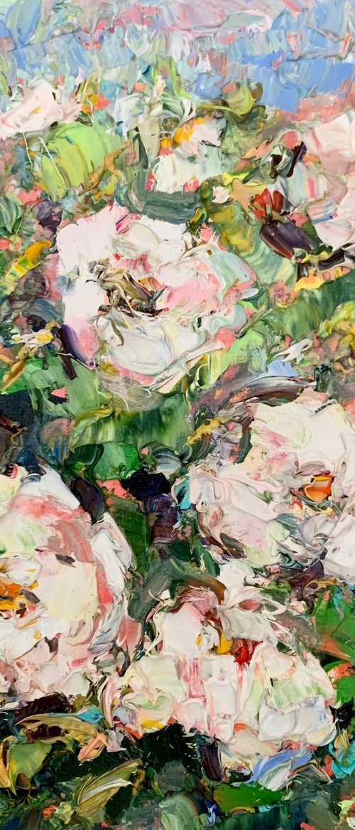 White roses by Vilma Gataveckienė