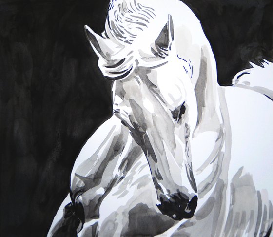 White horse / 45.8 x 40 cm