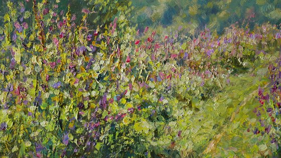 The Sunny Meadow