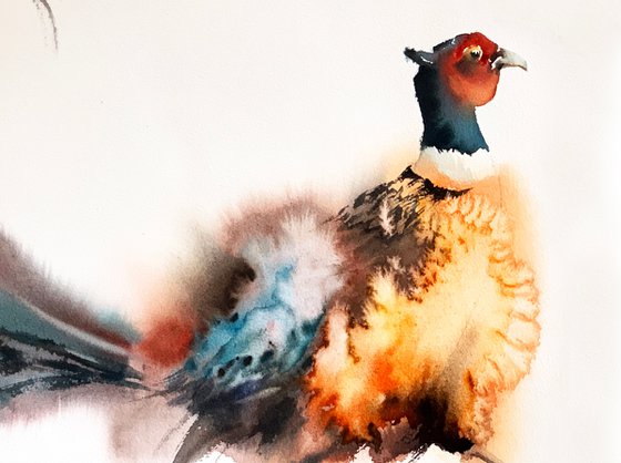 Pheasant