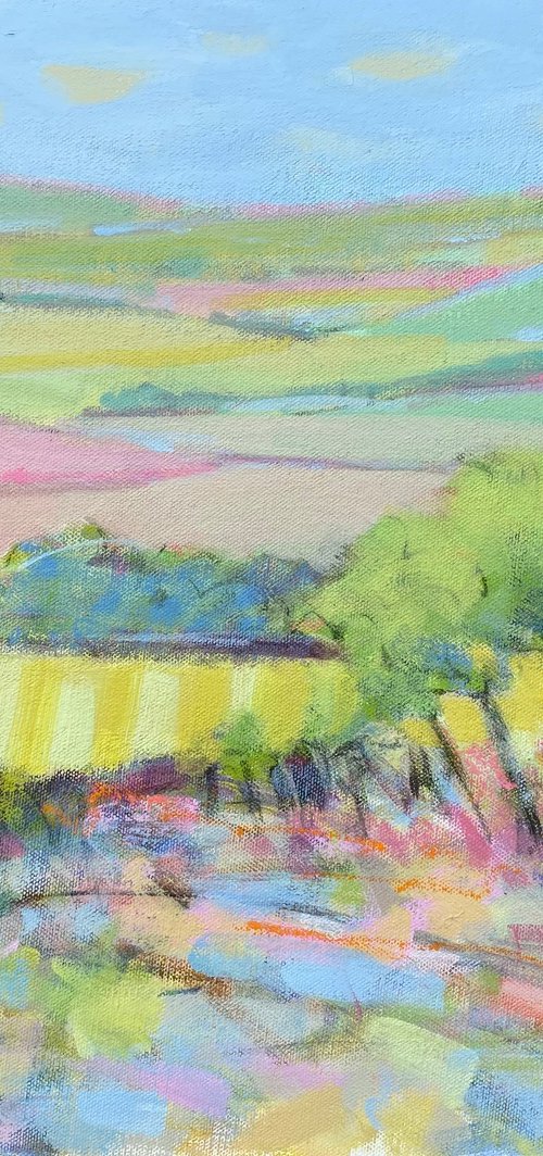 Vineyard Vista by Chrissie Havers