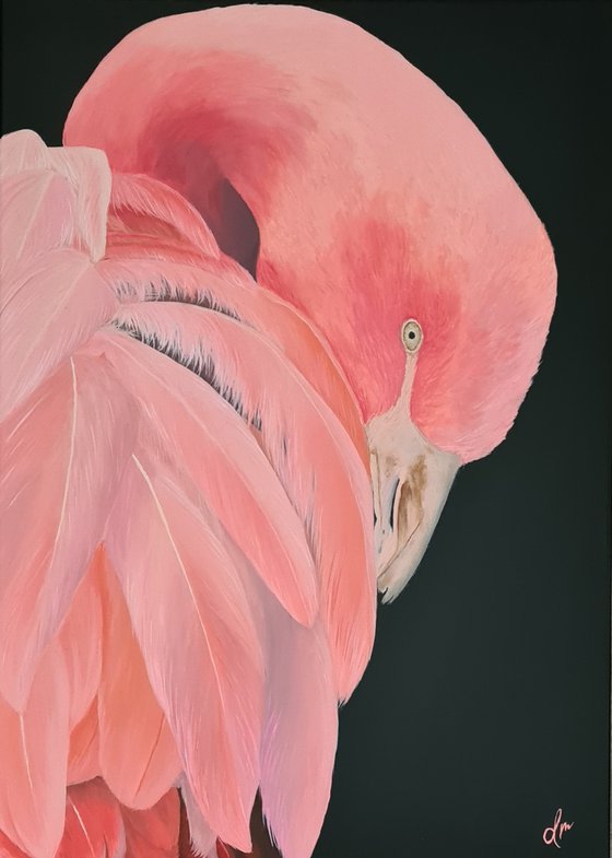 Flamingo Pink