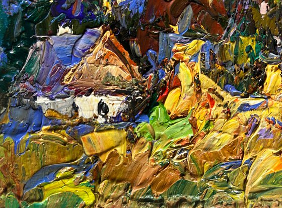 Corn fields in the village