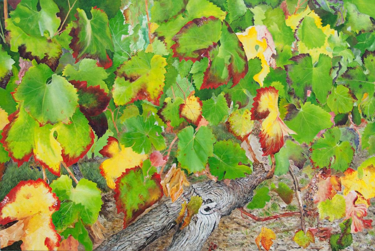 Bordeaux Vineyard 2 By Steven Fleit, 36 X 24, Artwork For Sale On Artfinder