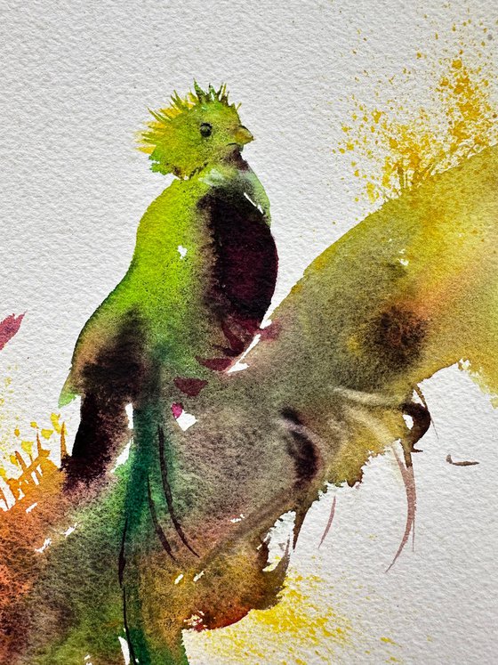 Aqua: Sacred Bird and Green Bird