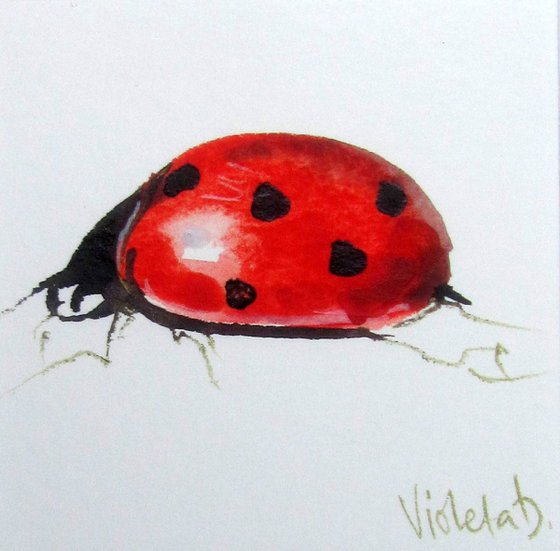 Ladybird #1