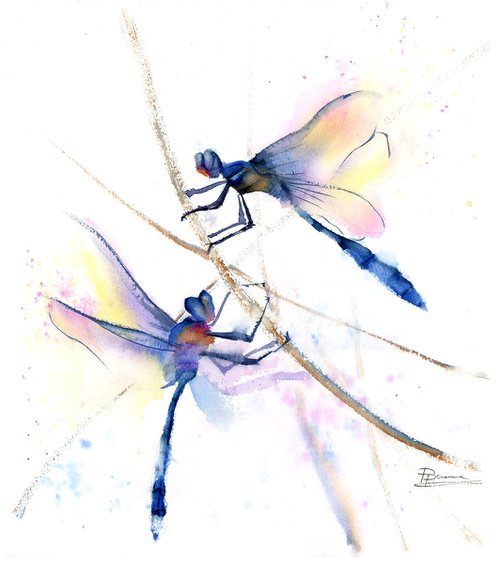 Couple of Dragonflies by Olga Shefranov (Tchefranov)