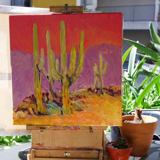 Saguaros Under a Coral Sky