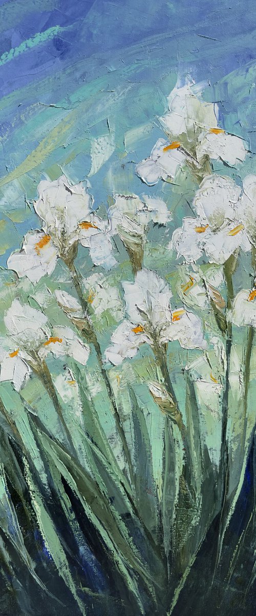 White Irises 60x80cm by Tigran Mamikonyan