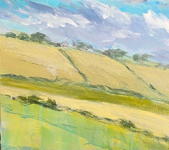 Hot Summer Fields
