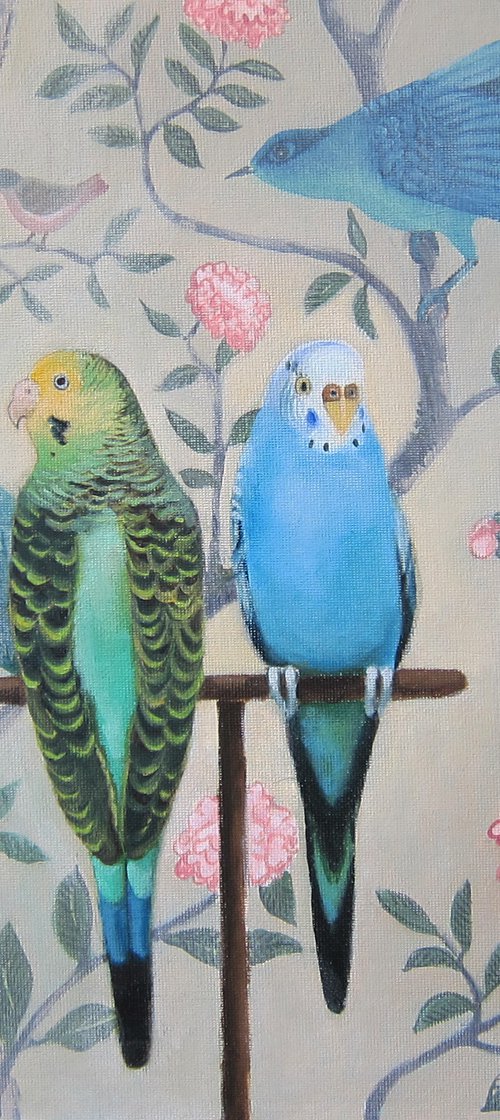 Budgies and Chinese wallpaper by Sophie Colmer-Stocker