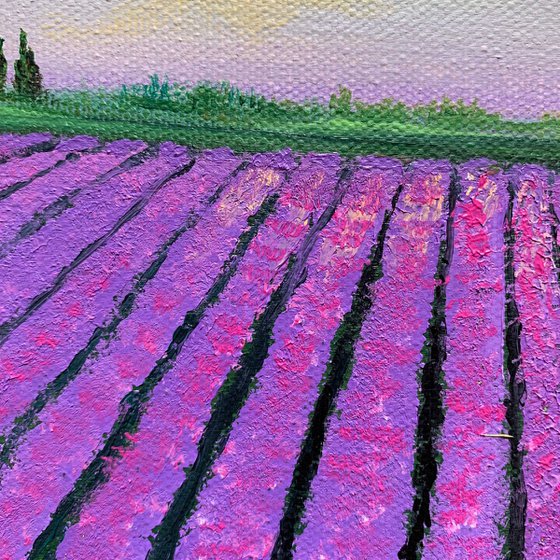 Lavender fields ! Small Painting!!  Ready to hang