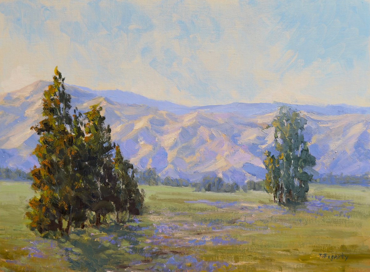 Impressionistic Landscape Oil Painting By Tatyana Fogarty, 16 X 12", Valley View With Mountains, Original Artwork