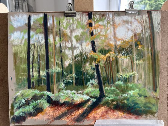 Autumn Shadows