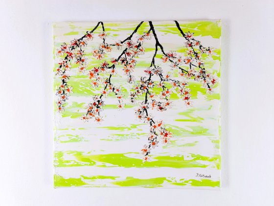 Cherries in the spring 2