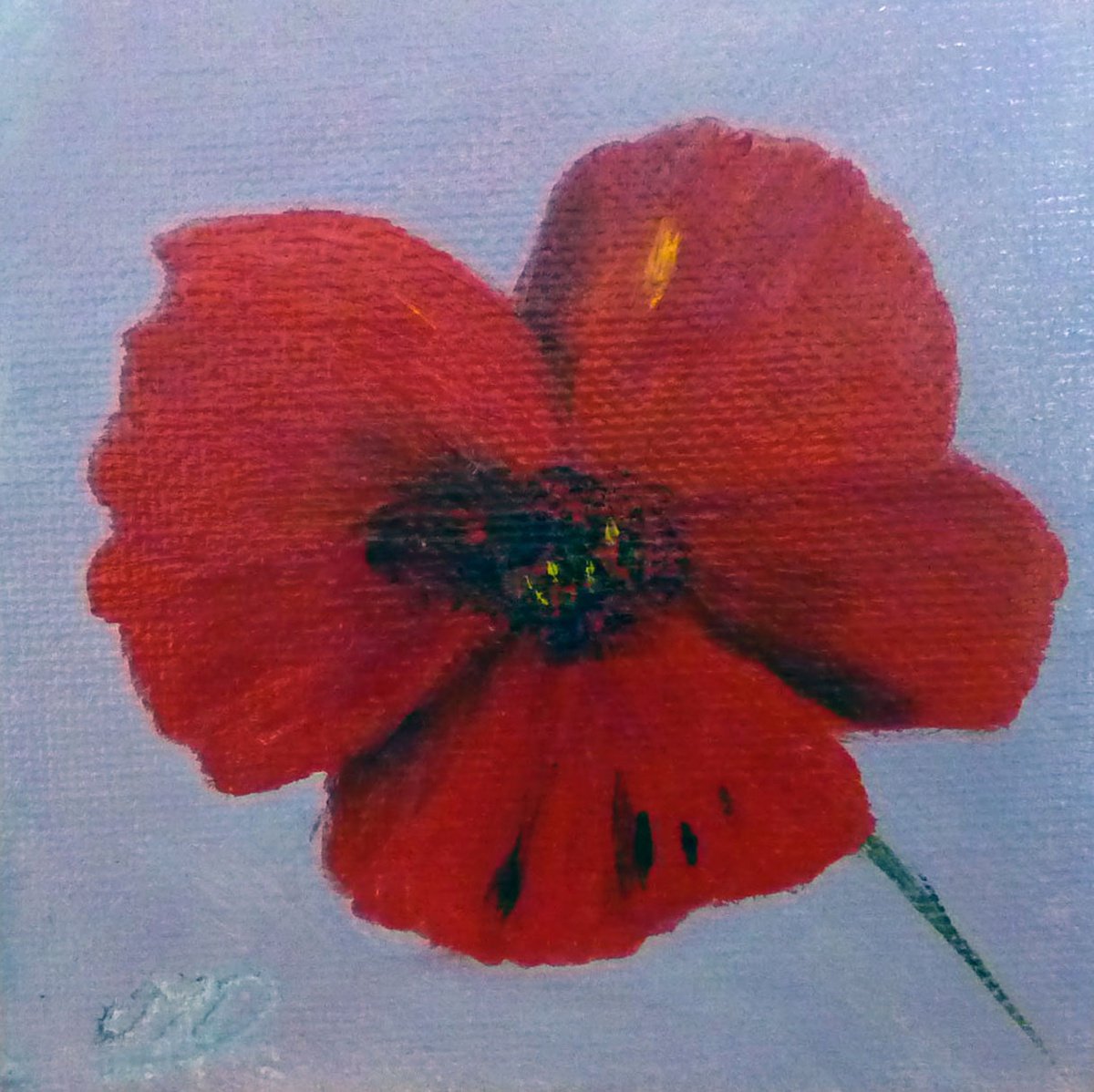 Vibrant Poppy by Margaret Denholm