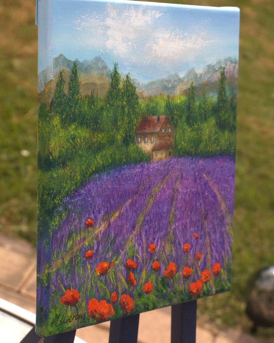 Lavender field