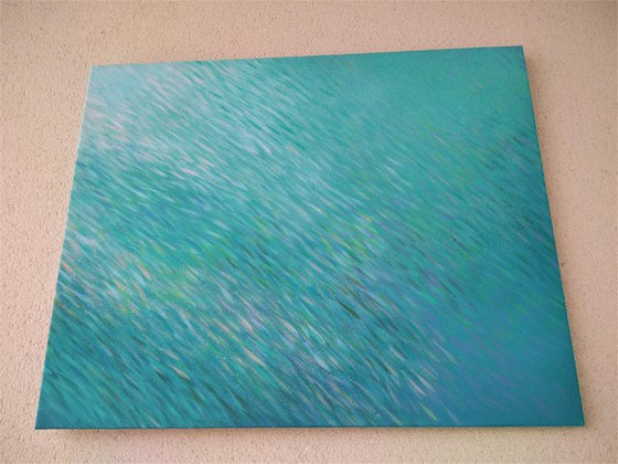 Fish nº101