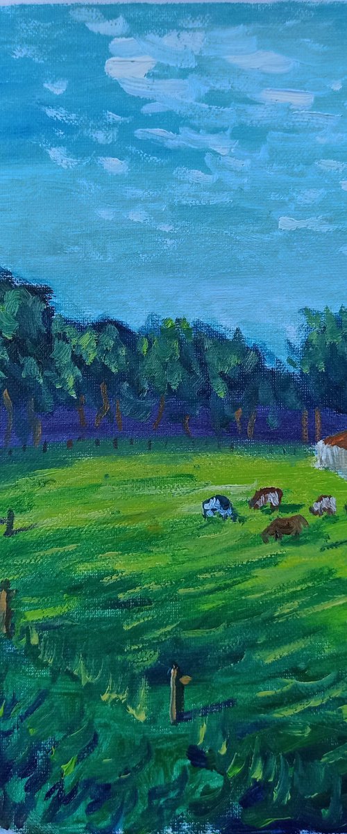 Cows at meadow in Coevorden by Dmitry Fedorov