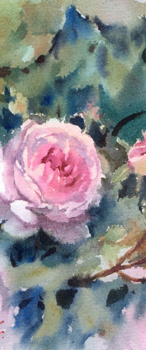 Watercolor English roses, Pink flowers on green by Yulia Evsyukova