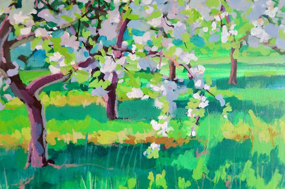 Spring Apple Orchard