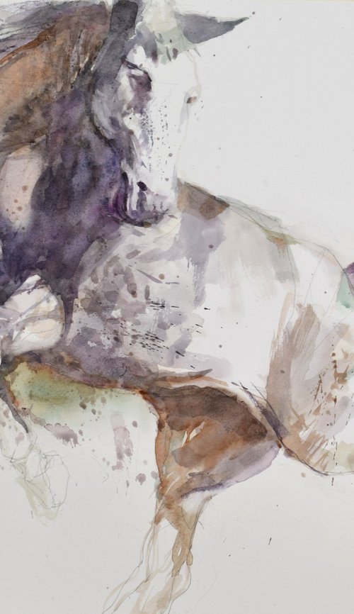 Horse in the run 5 (70x50) by Goran Žigolić Watercolors