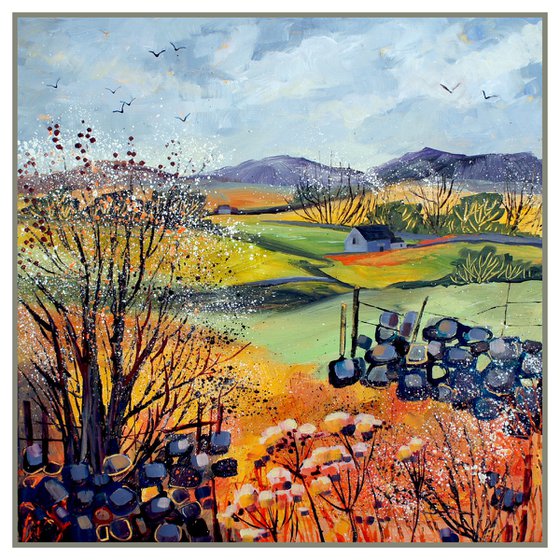 Blackthorn Blossom (Yorkshire Dales)