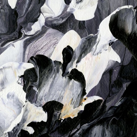 Midnight Blooms 3