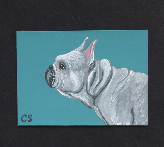 ACEO ATC Original Miniature Painting White French Bulldog Pet Dog Art-Carla Smale