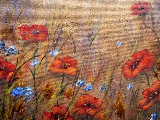 Morning and Red flowers