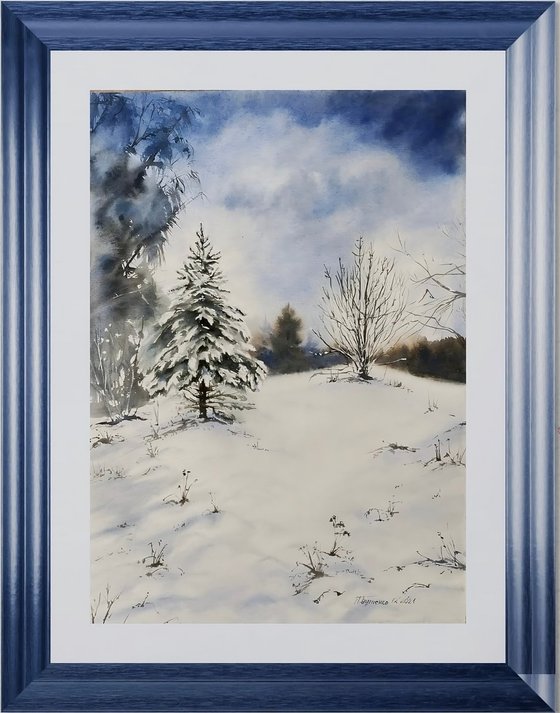 Christmas tree was born in the forest